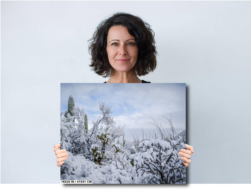 Saguaro National Park Print – Snow Covered Cacti Art | Desert Wall Art Canvas