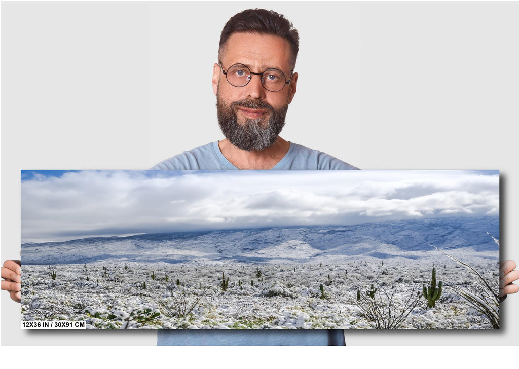 Saguaro National Park Print – Winter Saguaro Desert Wall Art With Snow