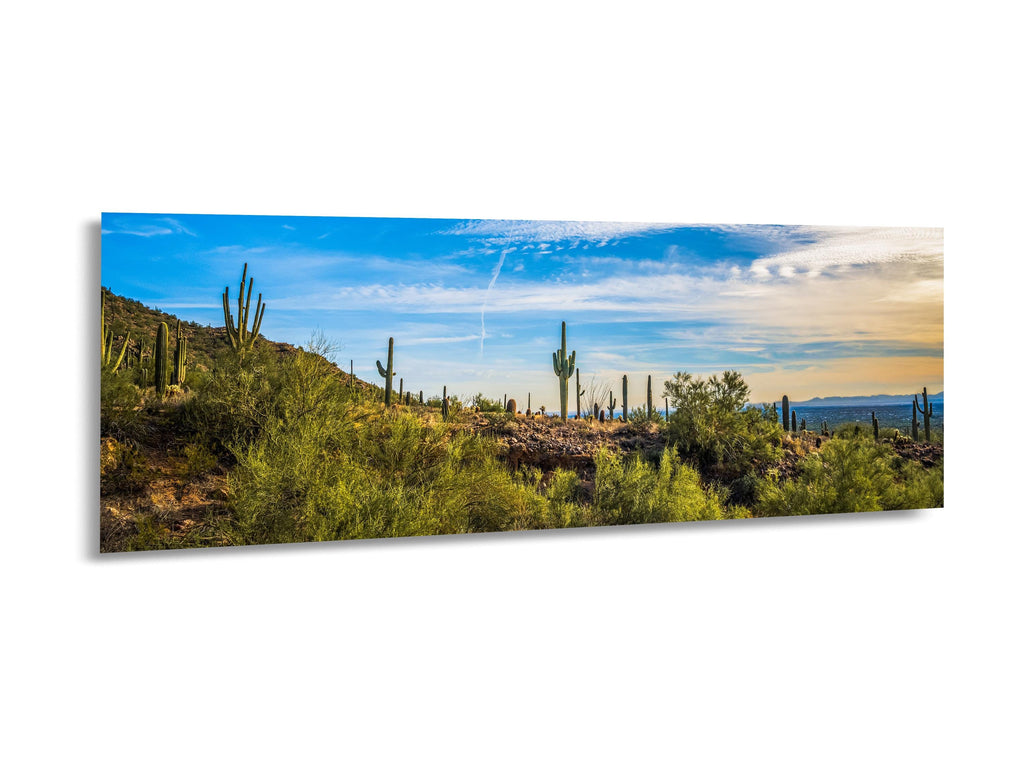 Golden Hour Saguaros at Usery Mountain Regional Park Mesa Arizona Desert Landscape Photography Print