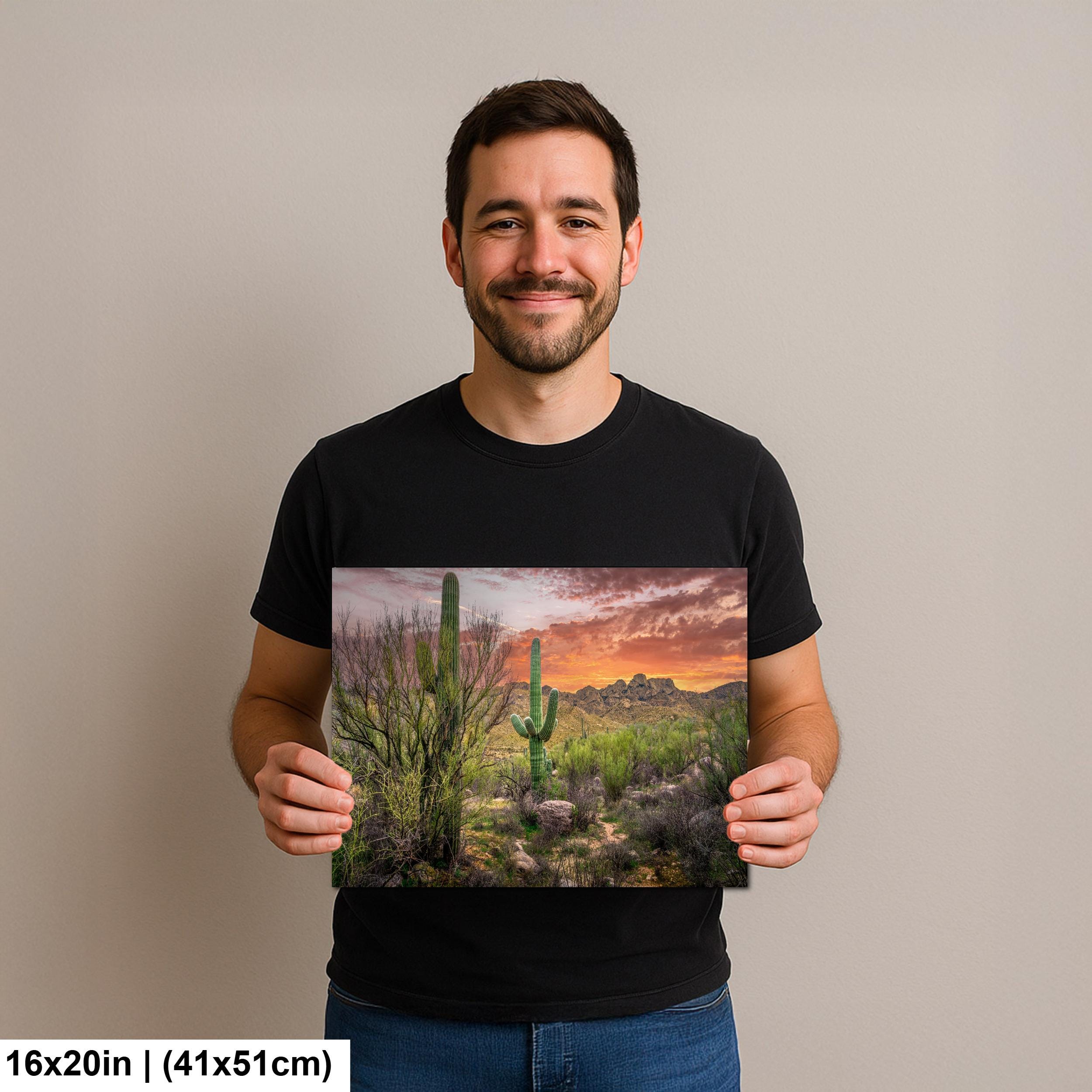 Sonoran Desert Sunset with Saguaros - Catalina State Park Tucson Arizona Photography Print