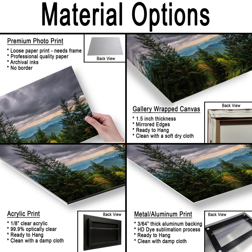 Through the Pines: Great Smoky Mountains National Park TN Photo Wall Art