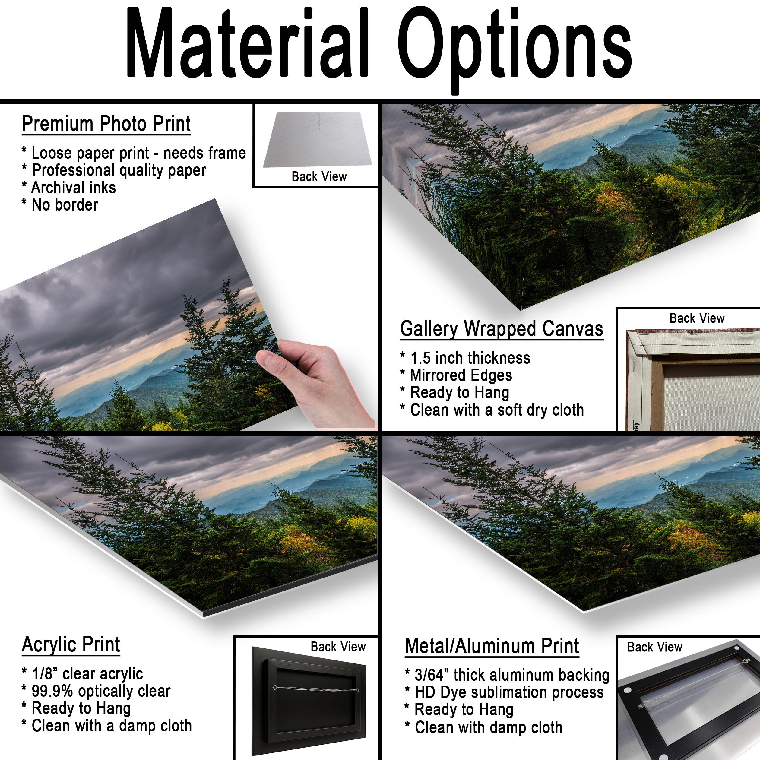 Through the Pines: Great Smoky Mountains National Park TN Photo Wall Art