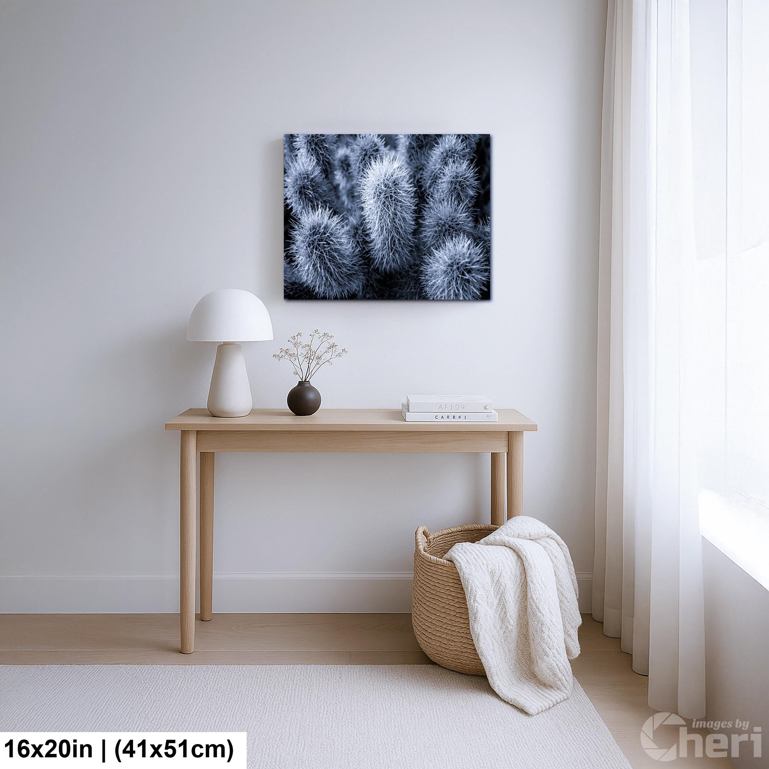 Cholla Cactus Spines Black and White - Saguaro National Park East Tucson Photography Print