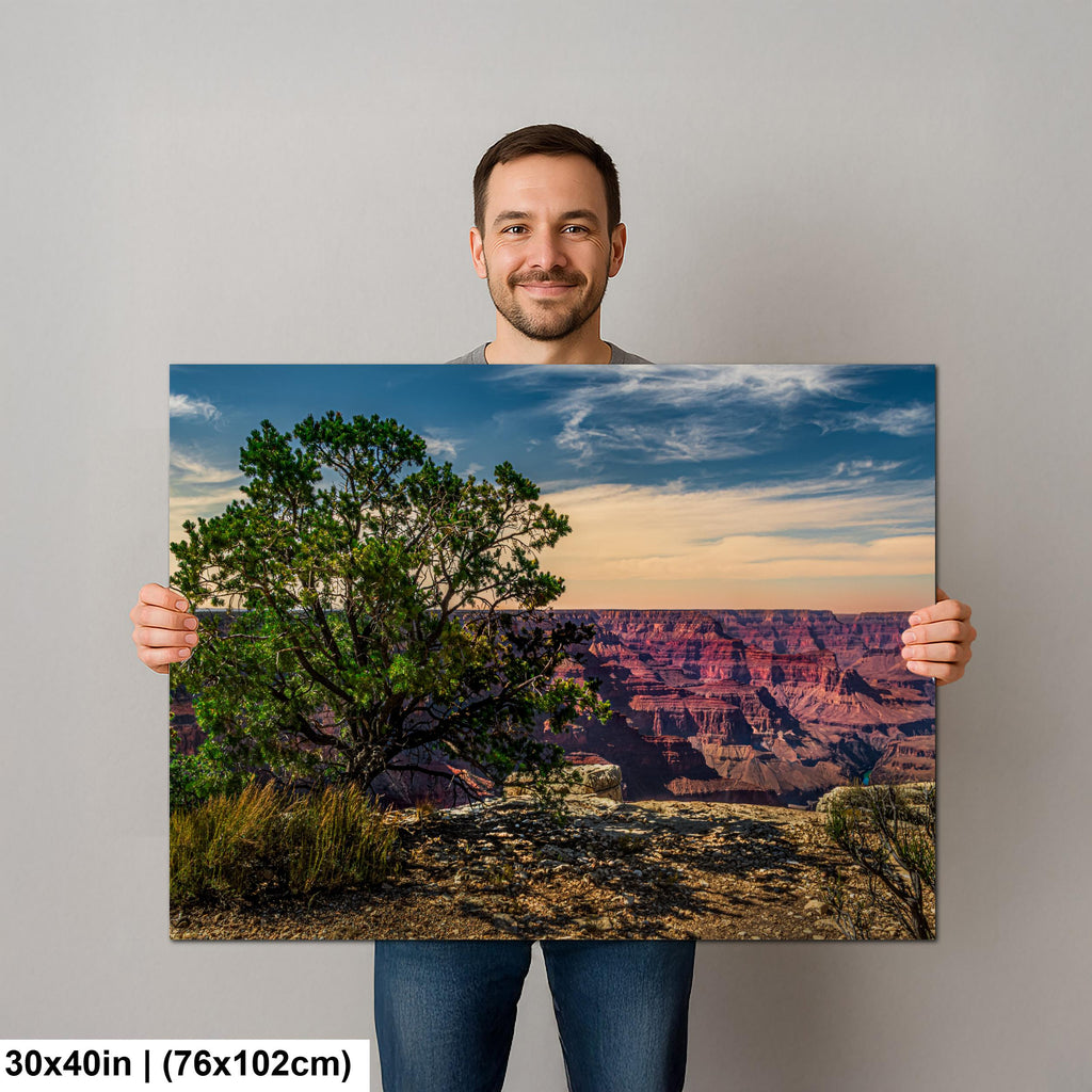 Juniper Tree Overlooking Grand Canyon, South Rim Arizona Wall Art, Canyon Landscape Photography Print