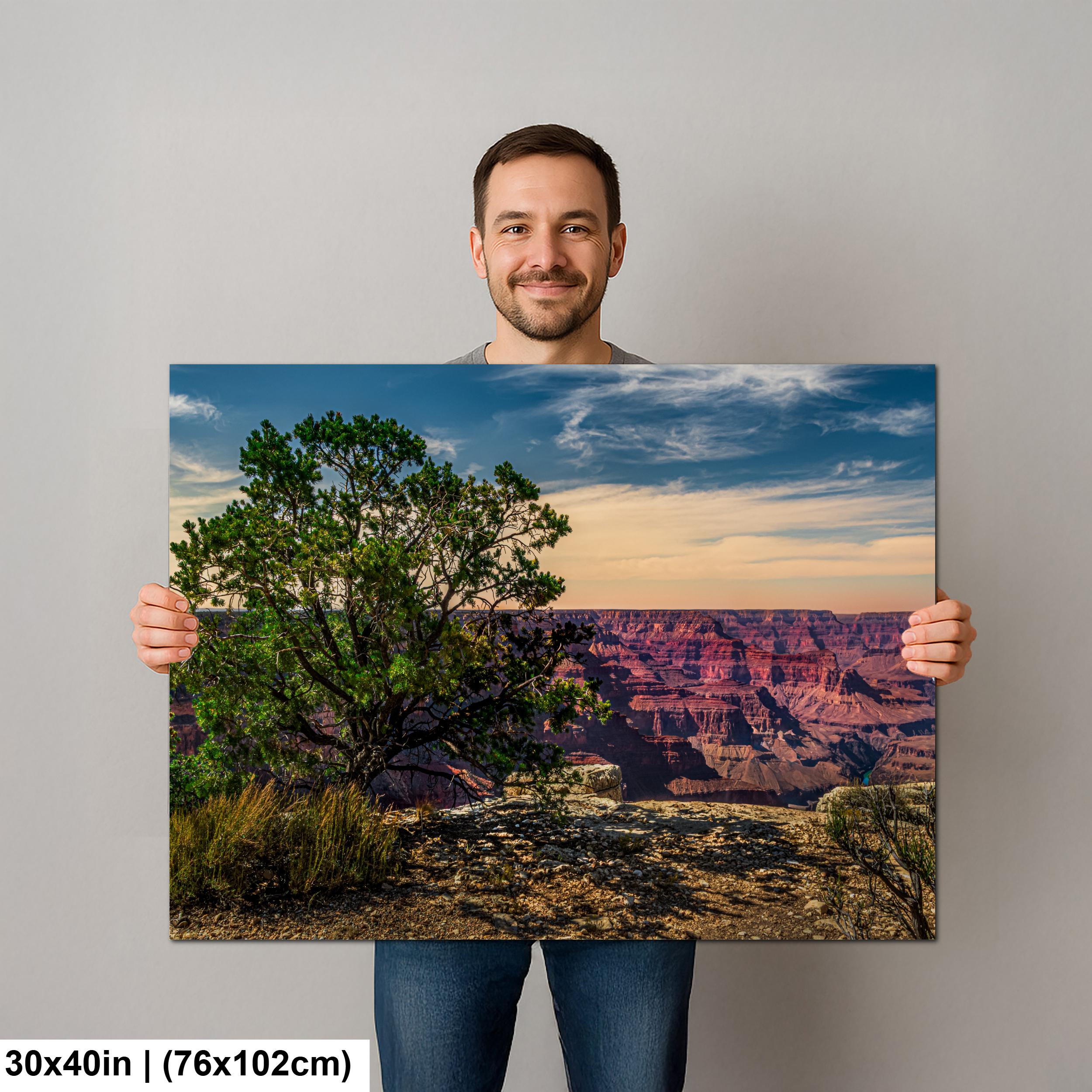 Juniper Tree Overlooking Grand Canyon, South Rim Arizona Wall Art, Canyon Landscape Photography Print