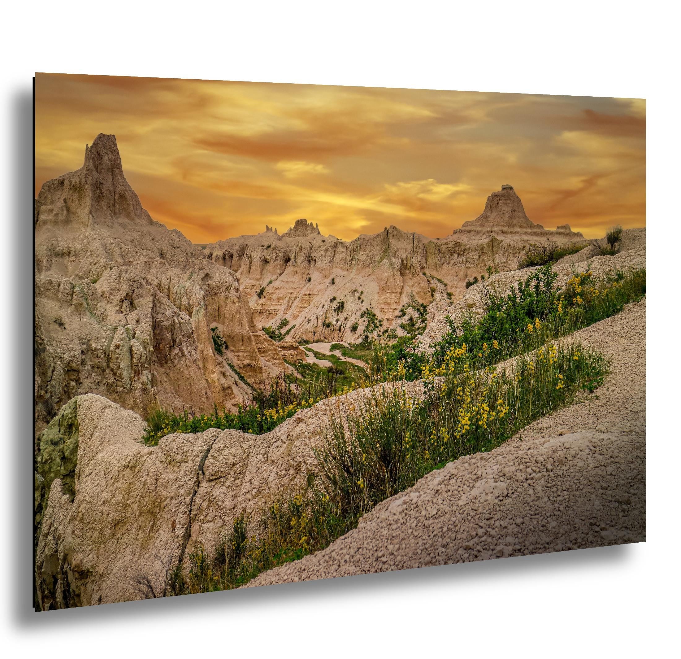 Badlands National Park sunset with yellow wildflowers in foreground and glowing cliffs.