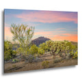 Cholla Cactus Sunset with Mountain View, Tucson Arizona Photography Print