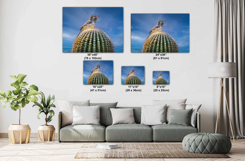 Cactus Wren on Saguaro Tucson Arizona Wildlife Nature Wall Art Photography Print, Sonoran Desert Bird Canvas Photo Blue Sky  Metal Decor