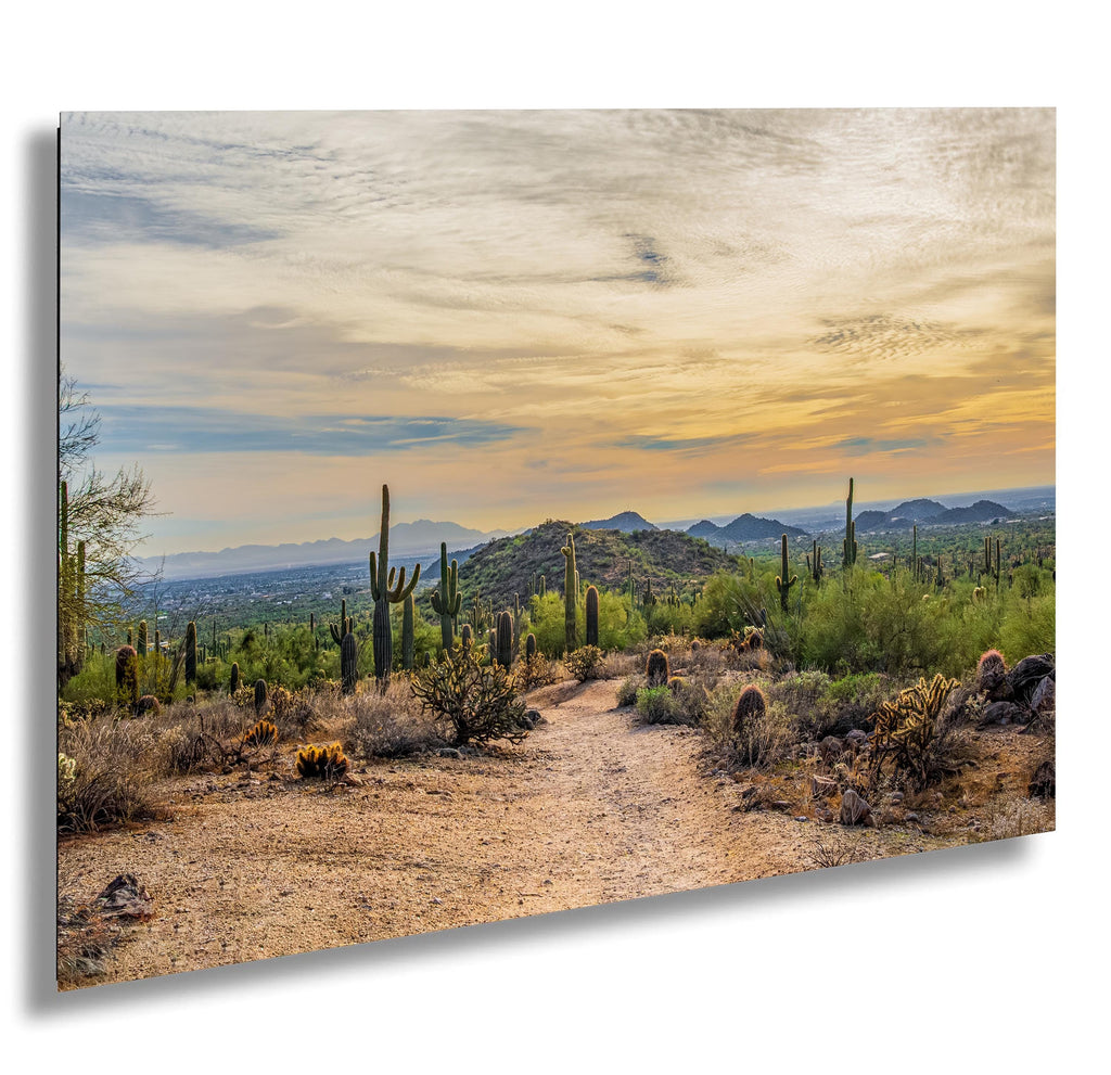 Sonoran Desert Trail at Sunset Photography Print, Usery Mountain Regional Park Mesa Arizona Wall Art Home Decor