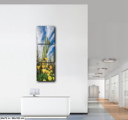 Mexican Gold Poppies Beneath Saguaros - Catalina State Park Tucson Arizona Photography Print