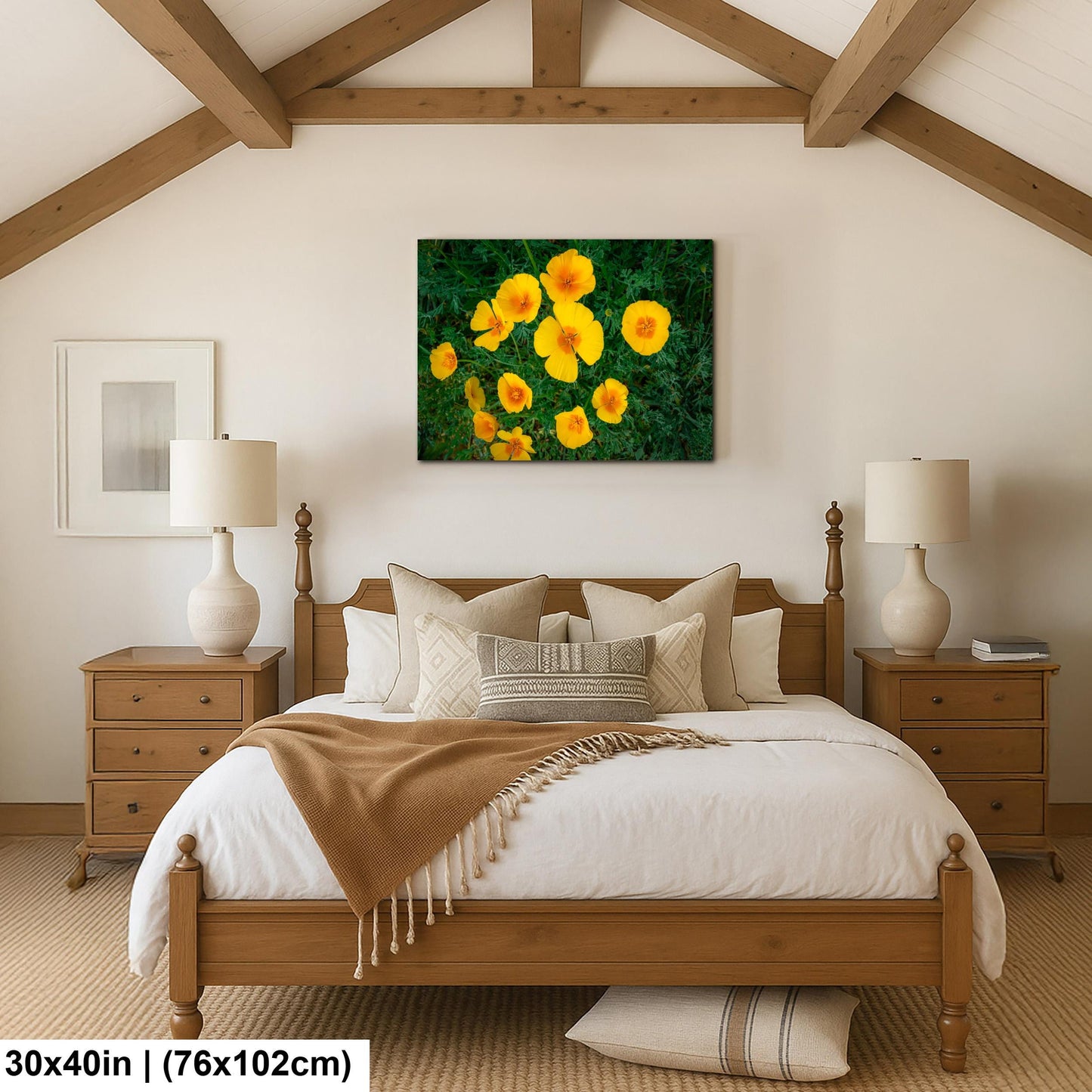 California Poppy Flowers in Bloom - Sonoran Desert Arizona - Tucson Catalina State Park Photography Print