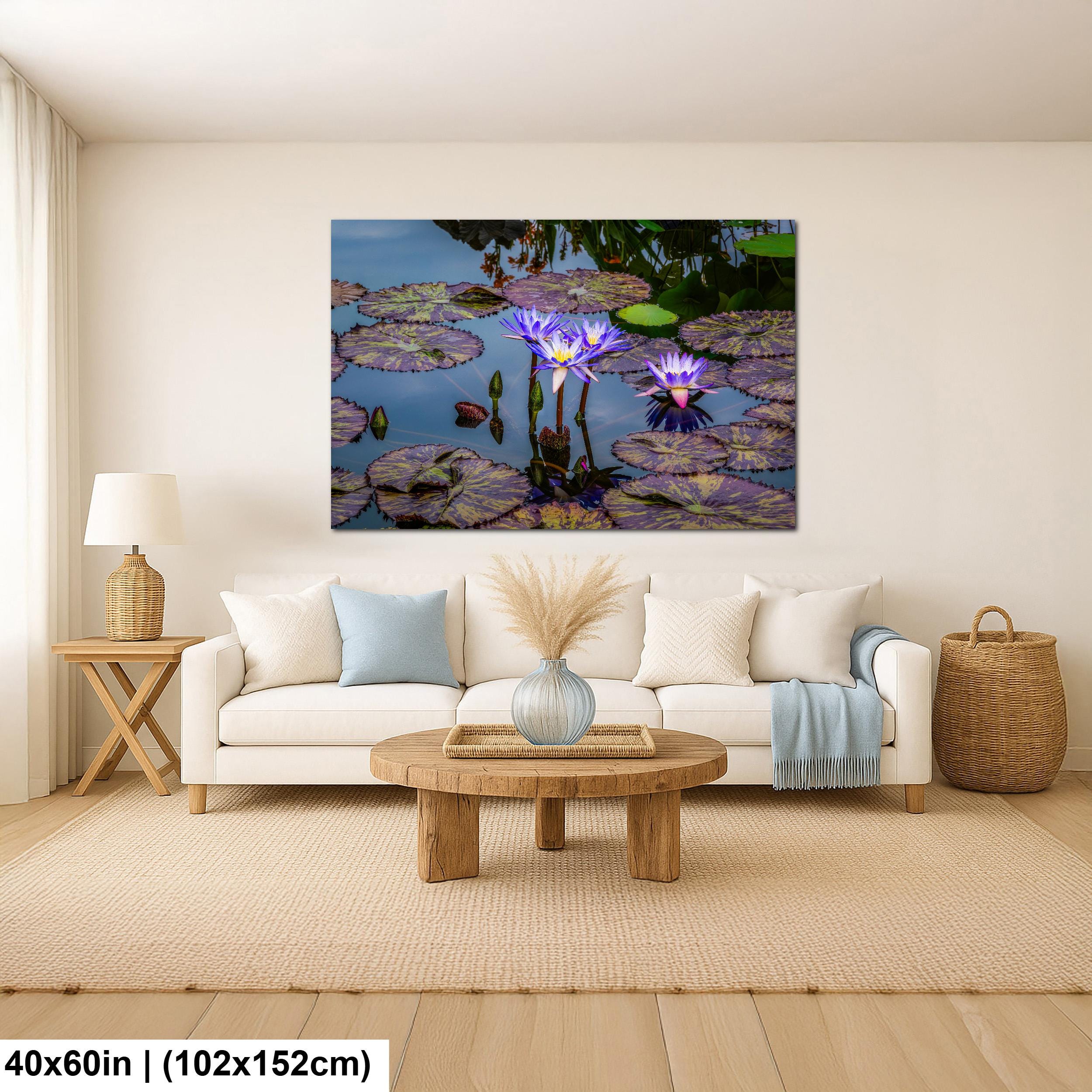 Purple Star Lotus: Botanical Water Lily Flower Pond Photography Wall Art