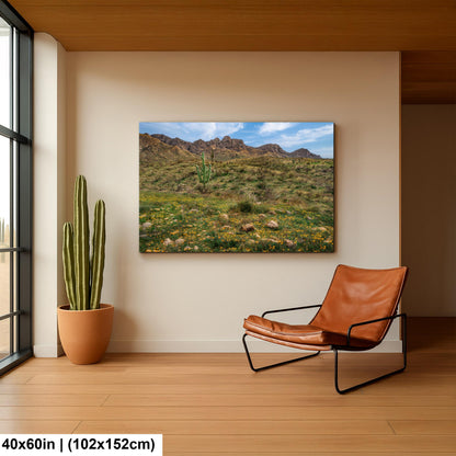Arizona Desert Spring Wildflowers, Saguaro Mountain Landscape Wall Art, Sonoran Nature Photography Print