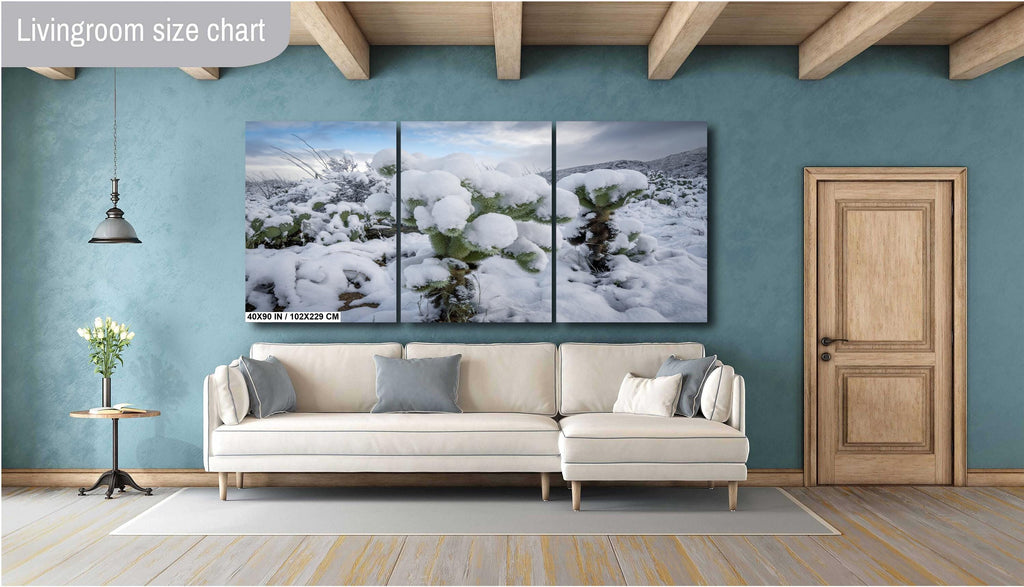 Snowy Cactus Wonderland Print: Arizona Winter Desert Photography
