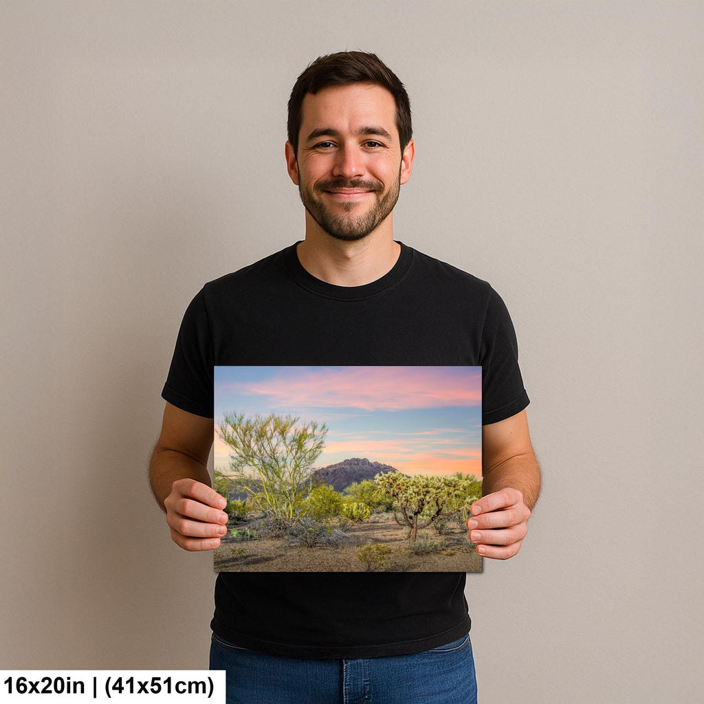 Cholla Cactus Sunset with Mountain View, Tucson Arizona Photography Print