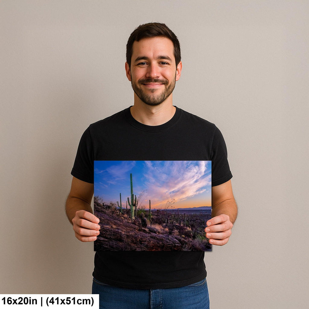 Rocky Sonoran Desert Hillside Sunset with Saguaros - Saguaro National Park East Tucson Photography Print