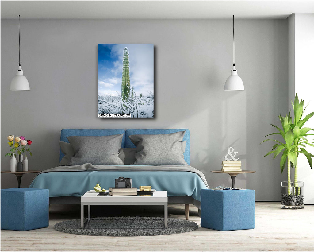 Black and White Saguaro Cactus Arizona Desert Photography Wall Art