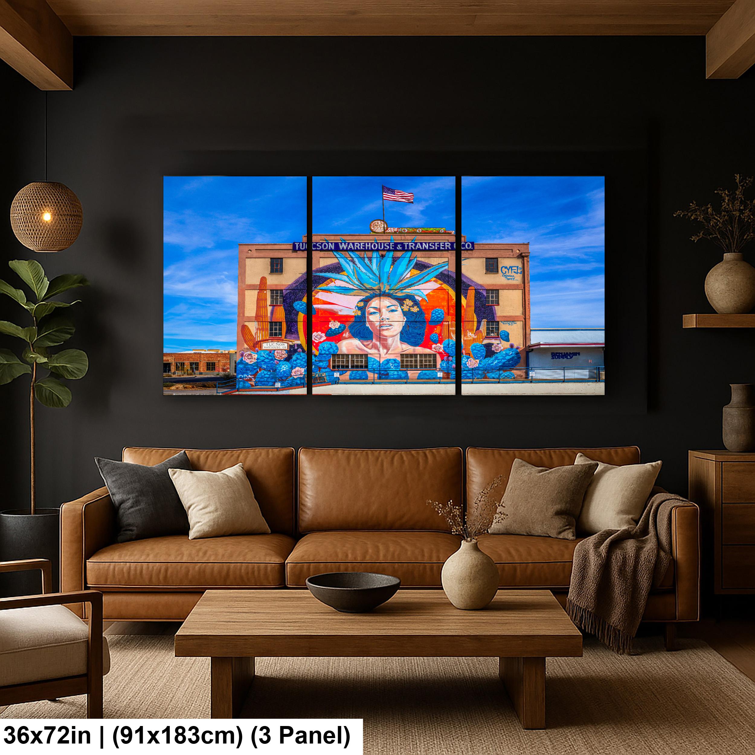 Tucson Mural Warehouse and Transfer Co Arizona Urban Photography Wall Art Decor