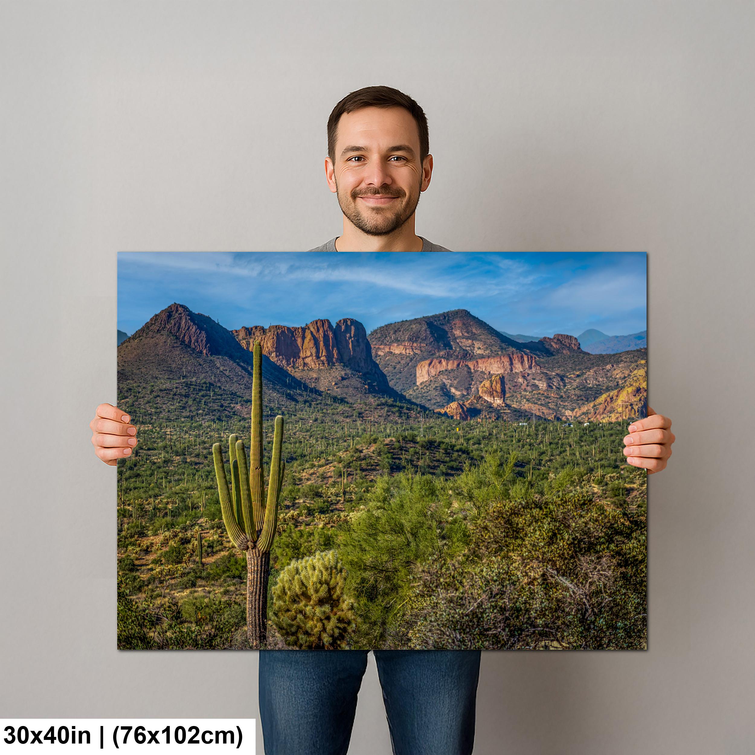 Lost Dutchman State Park Saguaro Overlooking Superstition Mountains Red Rock Cliffs - Apache Junction Arizona Photography Print