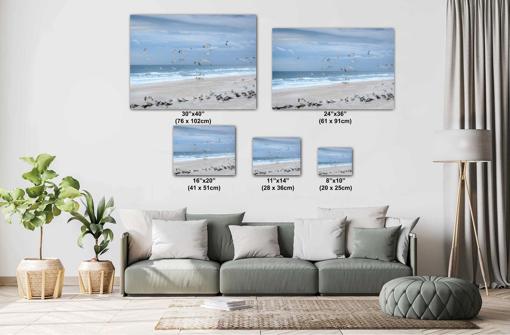 Seagulls Over Quiet Amelia Island Coastal Beach Florida Print Wall Art Photography Aluminum/Acrylic/Metal/Canvas Seascape Wildlife Decor