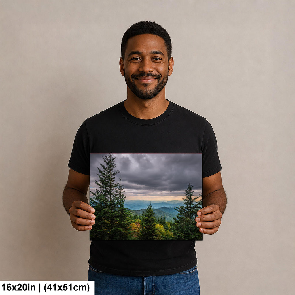 Through the Pines: Great Smoky Mountains National Park TN Photo Wall Art