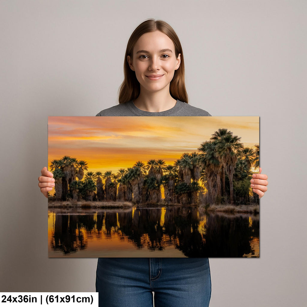 Agua Caliente Palm Grove Sunset Reflection - Tucson Arizona Photography Print