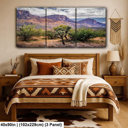 Catalina Mountains Scenic View Arizona Desert Sonoran Landscape Nature Photography Wall Art