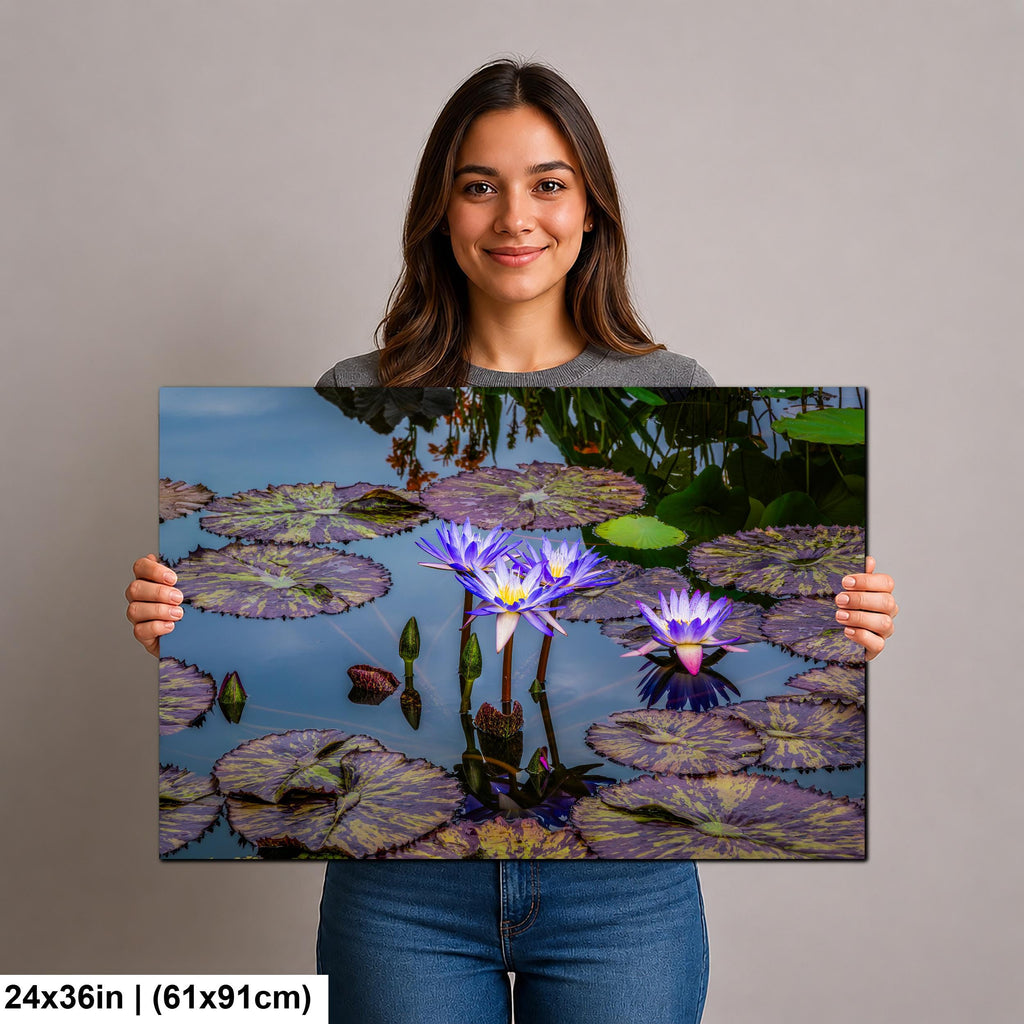 Purple Star Lotus: Botanical Water Lily Flower Pond Photography Wall Art