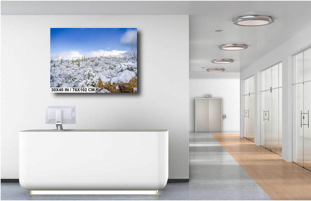 Saguaro National Park Winter Snow Photography Print