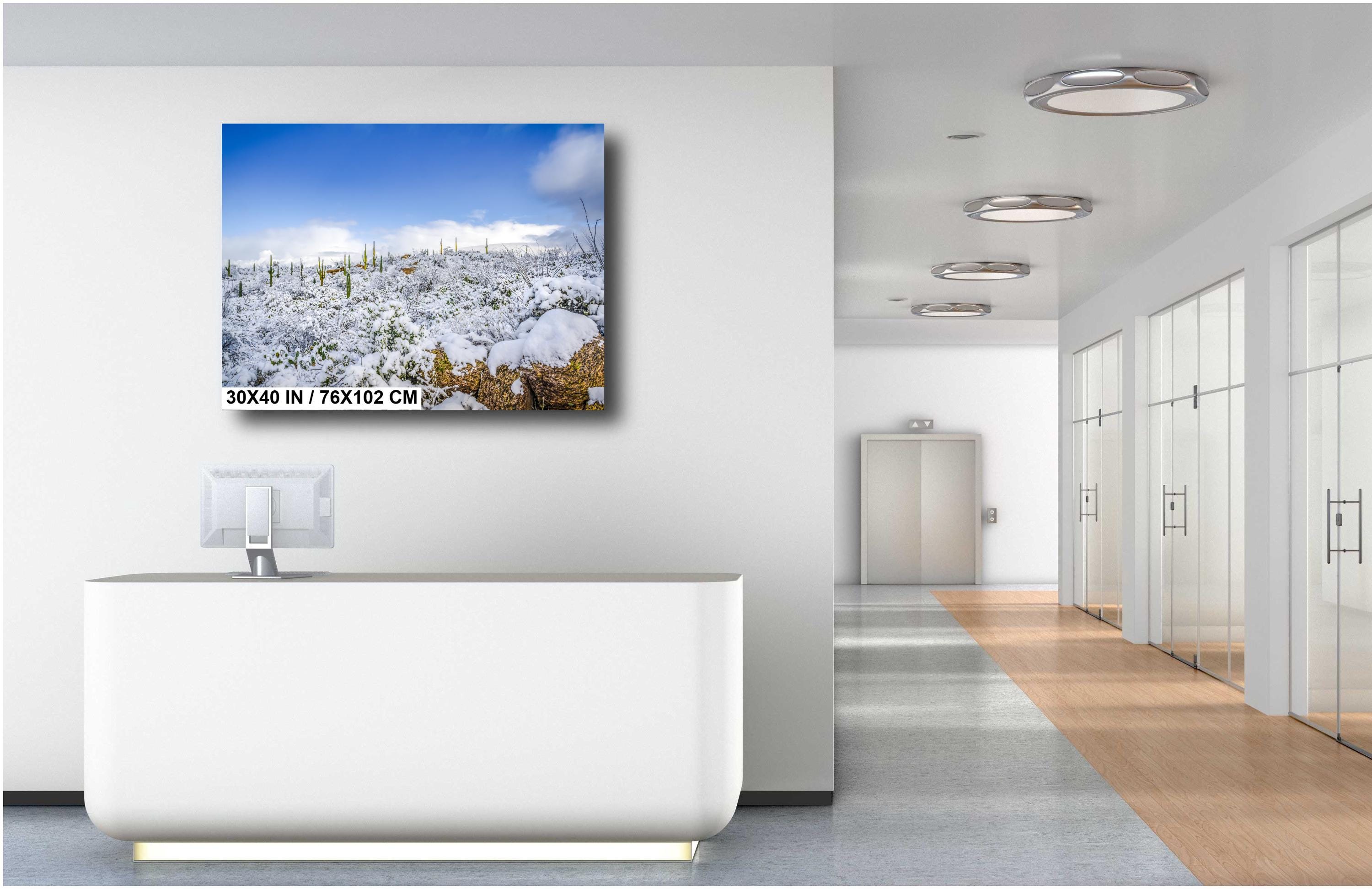 Saguaro National Park Winter Snow Photography Print