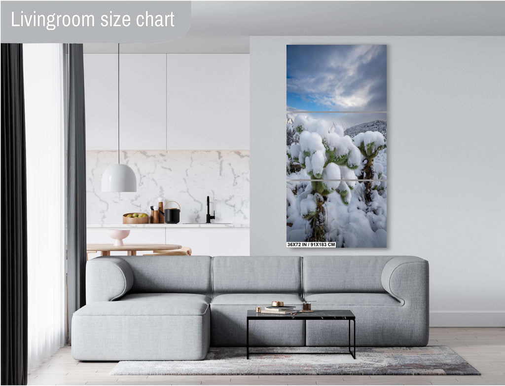 Snowy Cholla Cactus Print: Saguaro National Park Winter