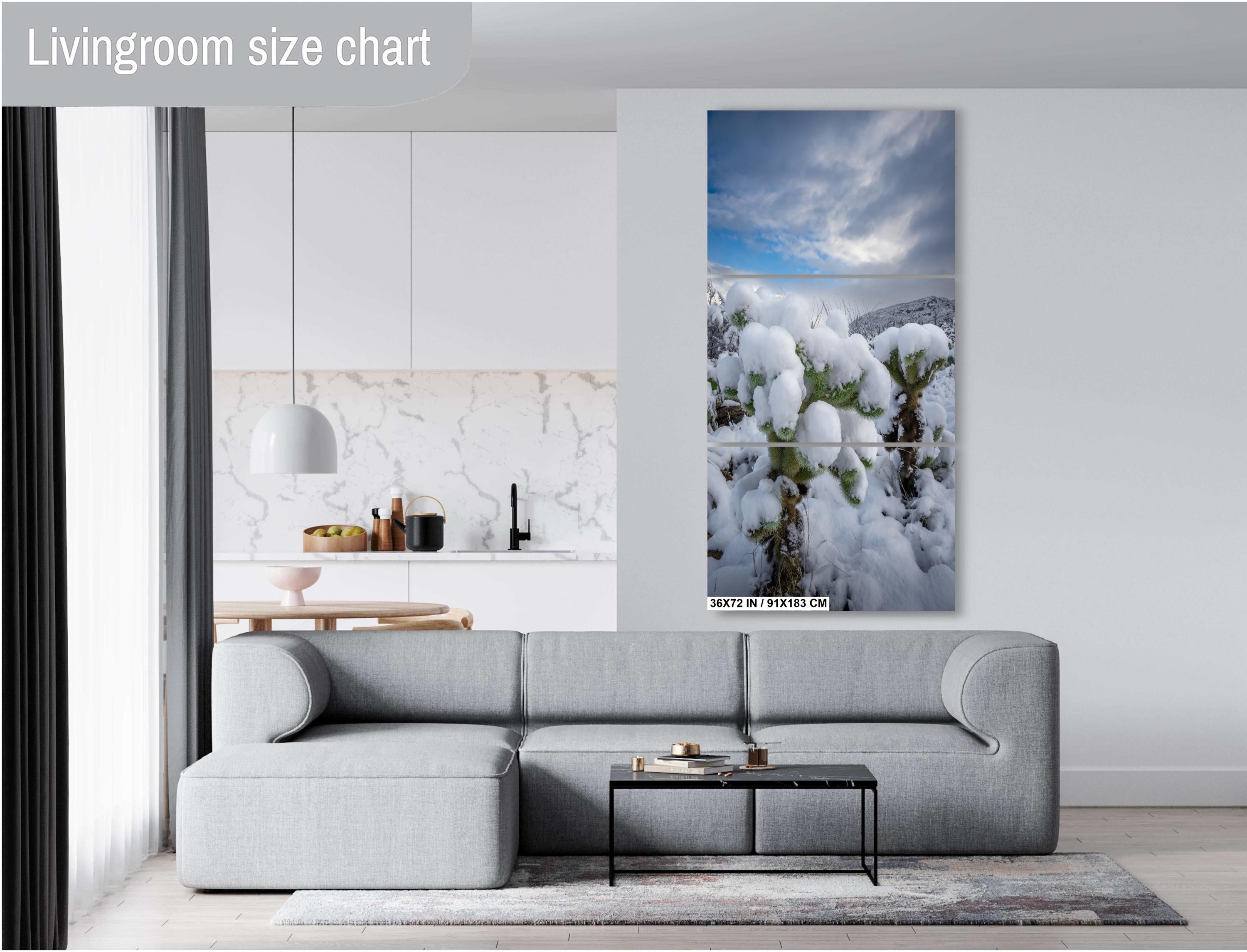 Snowy Cholla Cactus Print: Saguaro National Park Winter