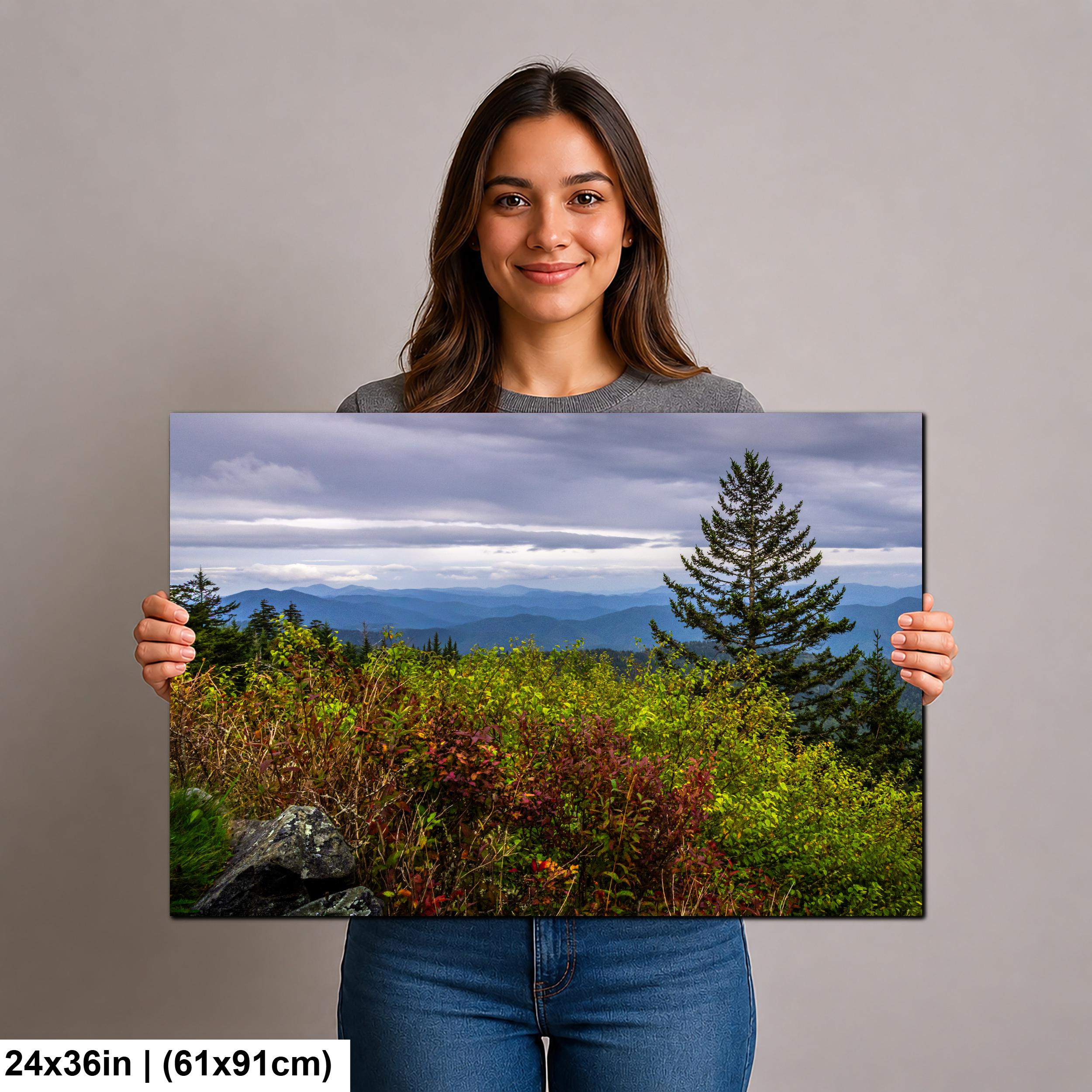 Autumn's Edge: Great Smoky Mountains Tennessee Nature Photography Wall Art