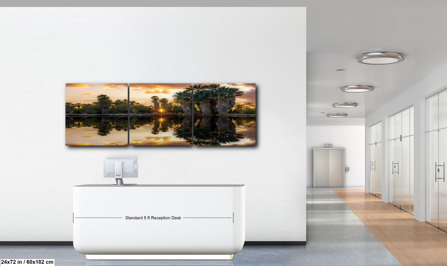 Agua Caliente Park Sunset Palm Oasis Reflection - Tucson Arizona Photography Print