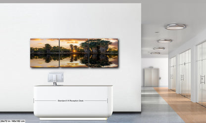 Agua Caliente Park Sunset Palm Oasis Reflection - Tucson Arizona Photography Print