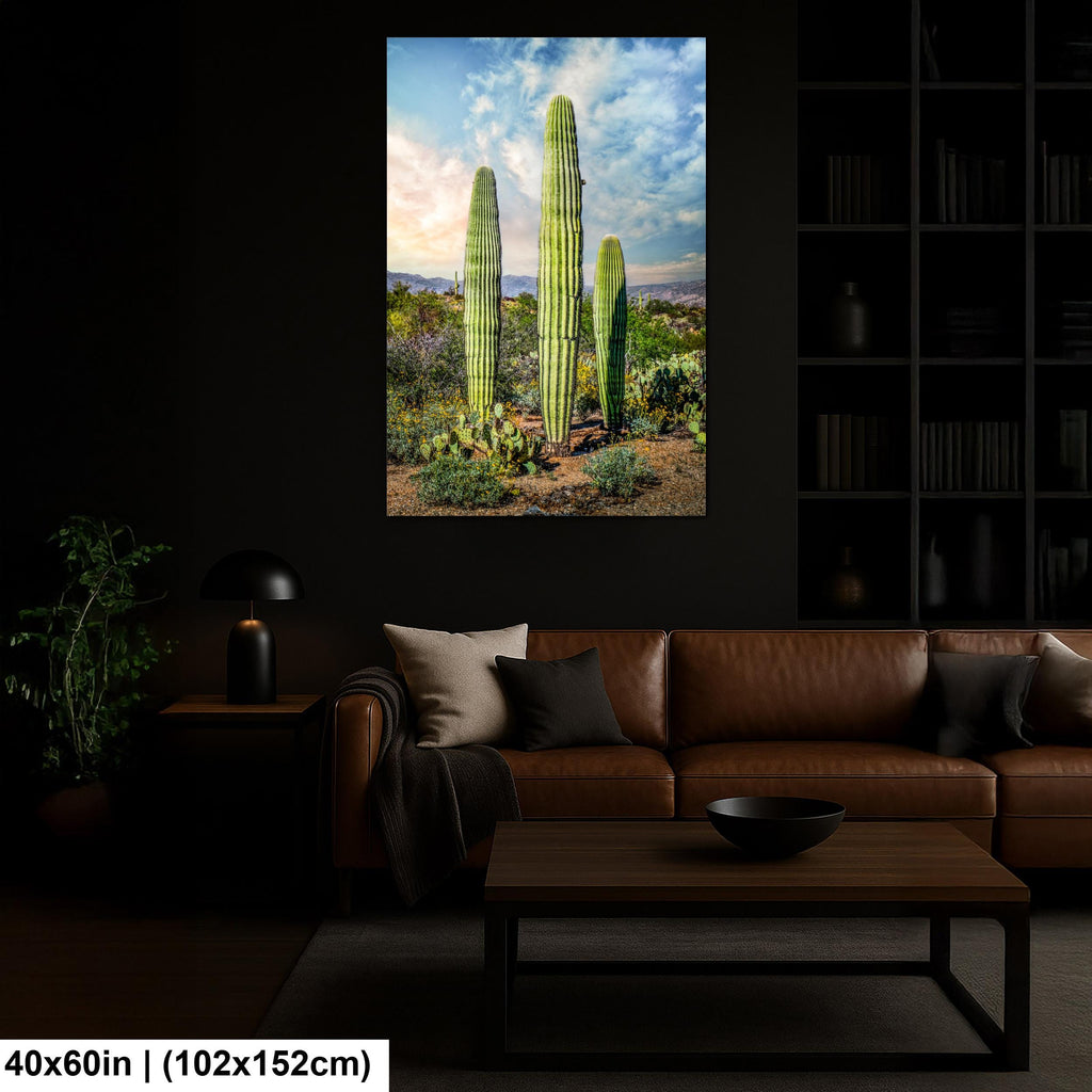 Towering Saguaros and Desert Sky, Saguaro National Park Tucson Arizona Photography Print