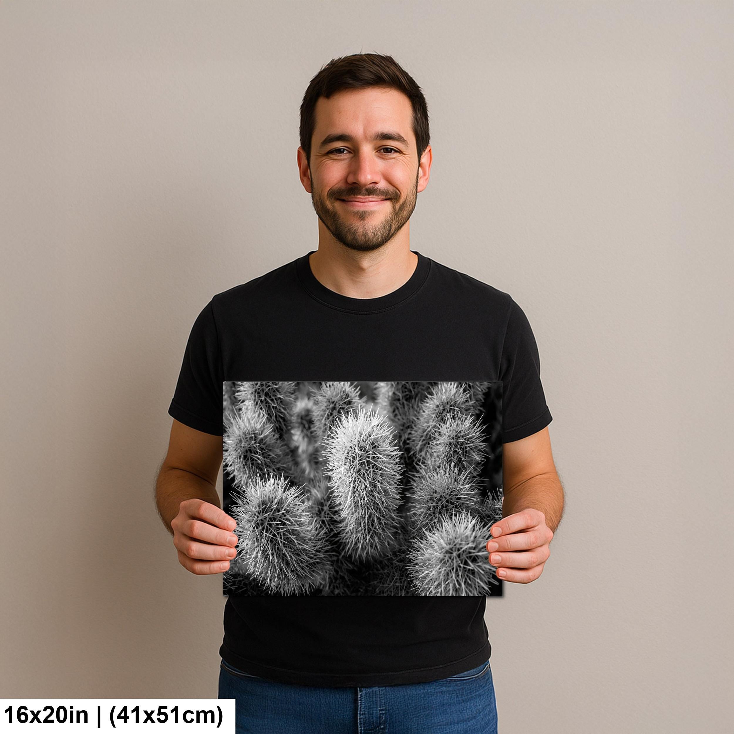 Cholla Cactus Spines Black and White - Saguaro National Park East Tucson Photography Print