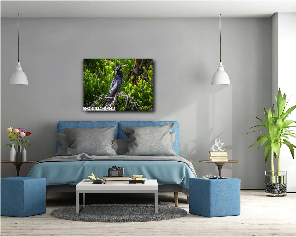 A print wall art depicting a black Anhinga bird perched on branches in a wetland setting, with vibrant green foliage in the background.