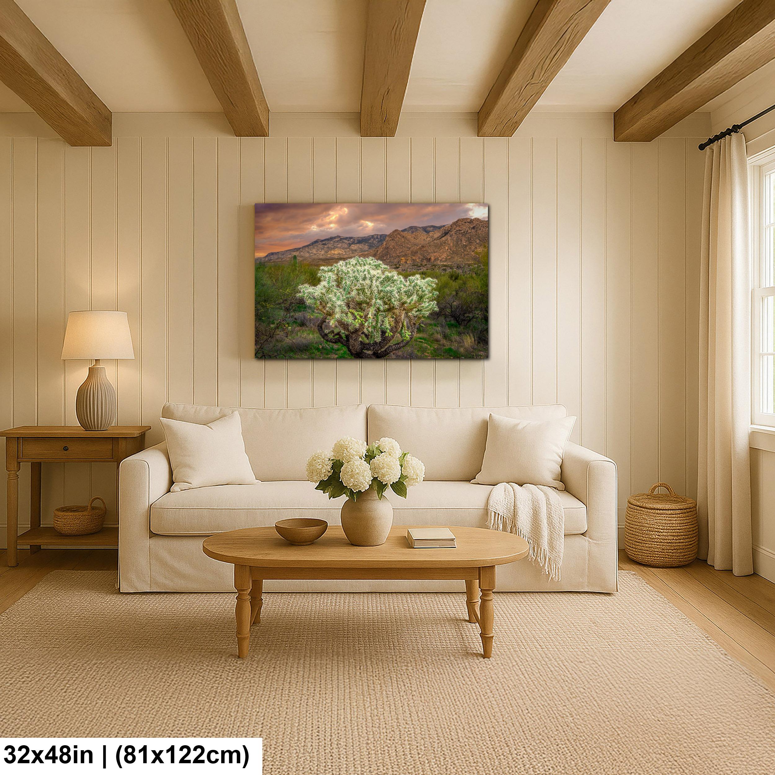 Cholla Cactus at Sunset - Catalina State Park Tucson Arizona Photography Print