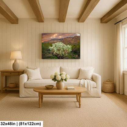 Cholla Cactus at Sunset - Catalina State Park Tucson Arizona Photography Print