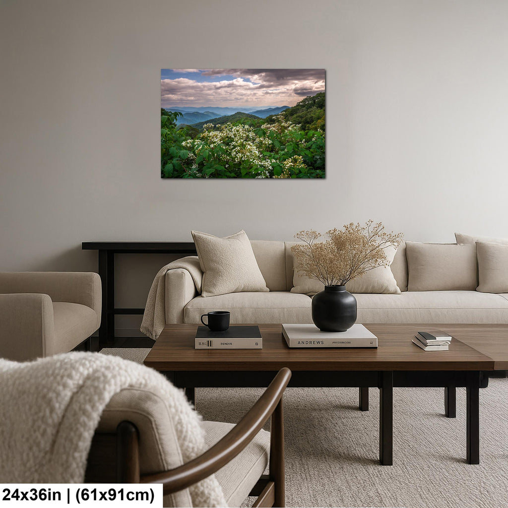 Mountain Meadow: Wildflowers Great Smoky Mountains Tennessee Photo Wall Art