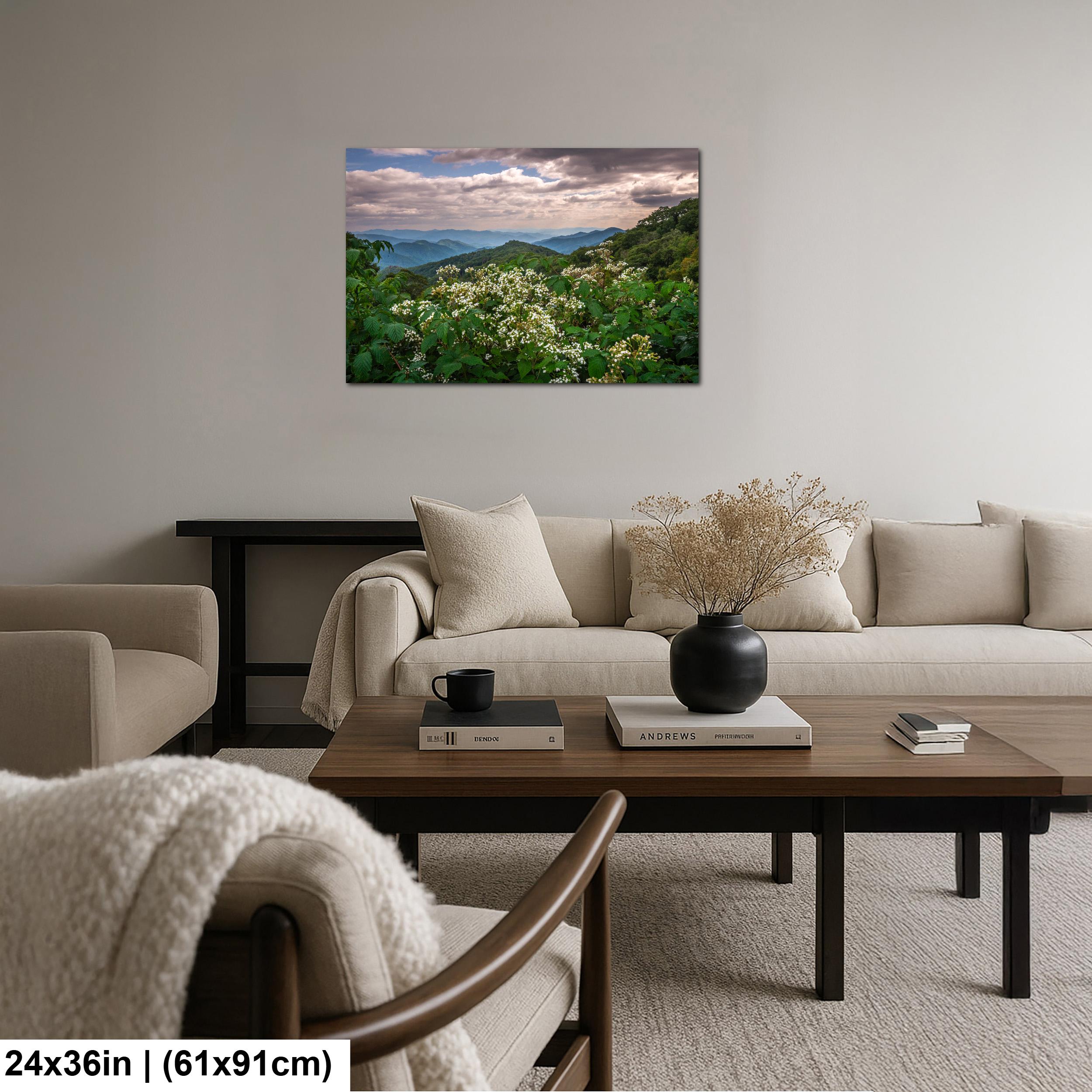 Mountain Meadow: Wildflowers Great Smoky Mountains Tennessee Photo Wall Art