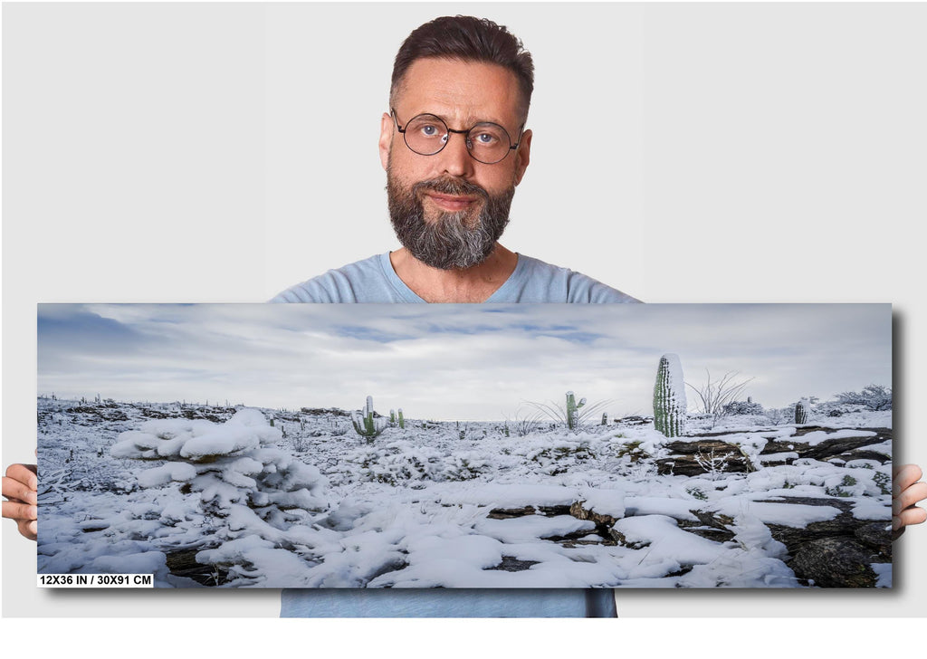 Saguaro Cactus Wall Art – Snowy Desert Photography | Winter Cactus Print Decor