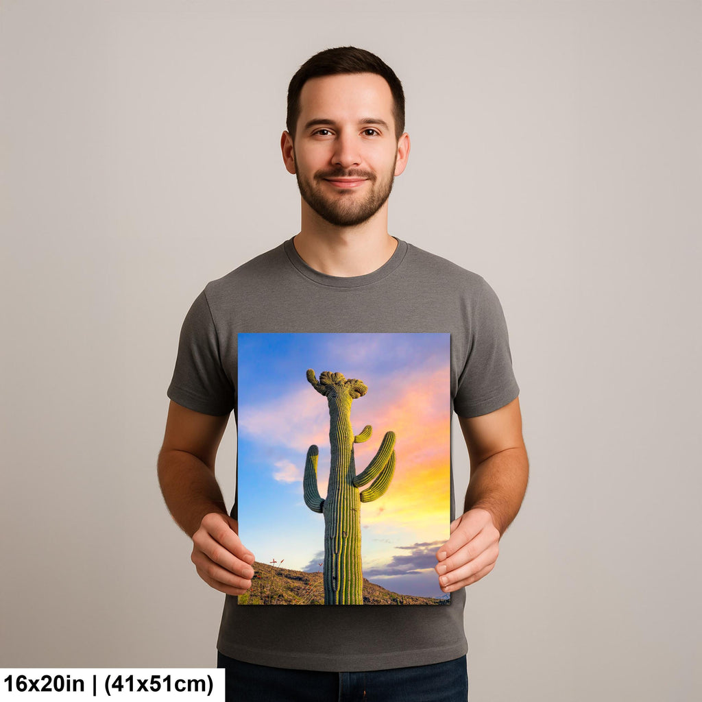 Saguaro Cactus at Sunset - Saguaro National Park East Tucson Arizona Photography Print