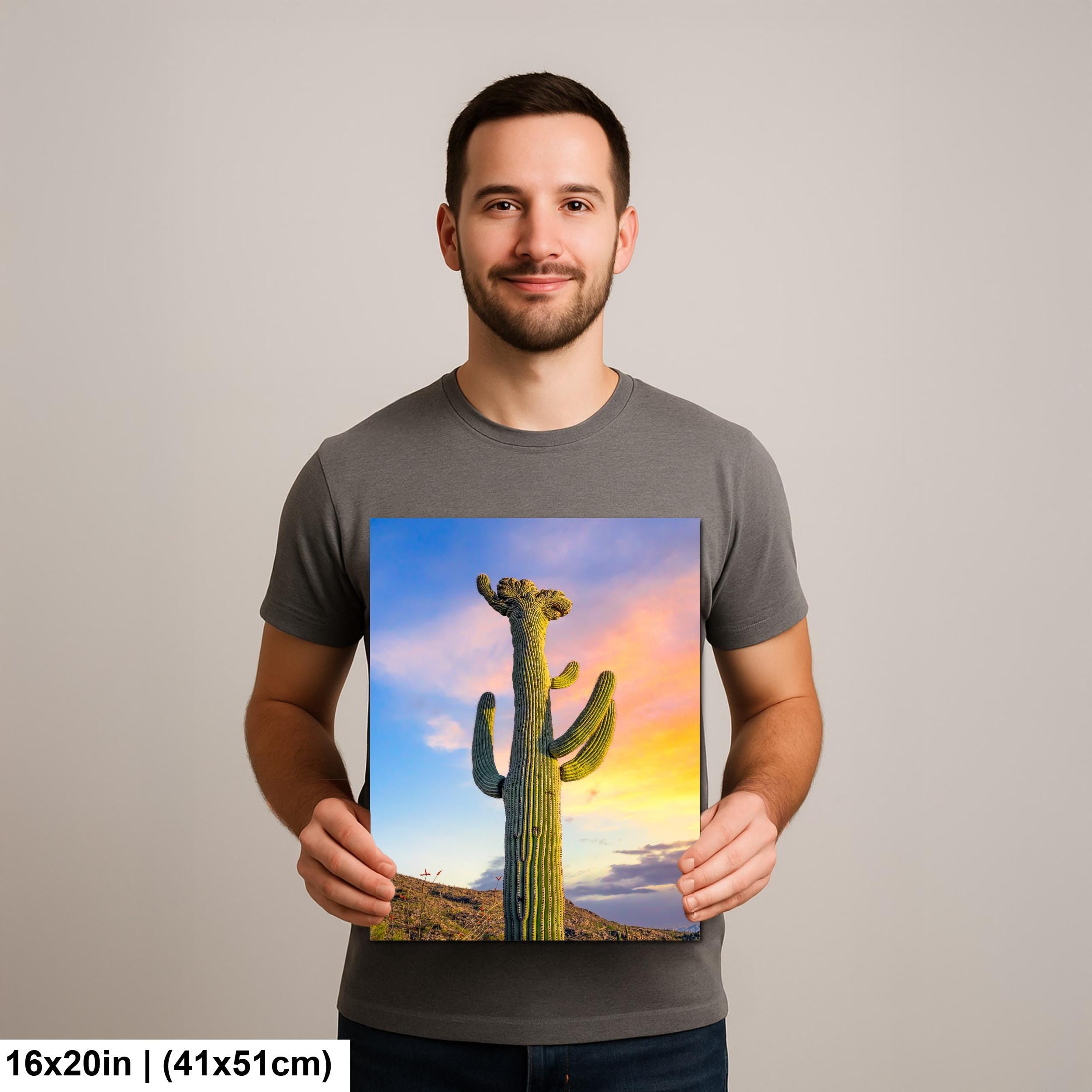 Saguaro Cactus at Sunset - Saguaro National Park East Tucson Arizona Photography Print