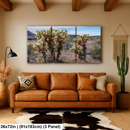 Teddy Bear Cholla Cactus Sonoran Desert Arizona Photography Print, Southwest Wall Art