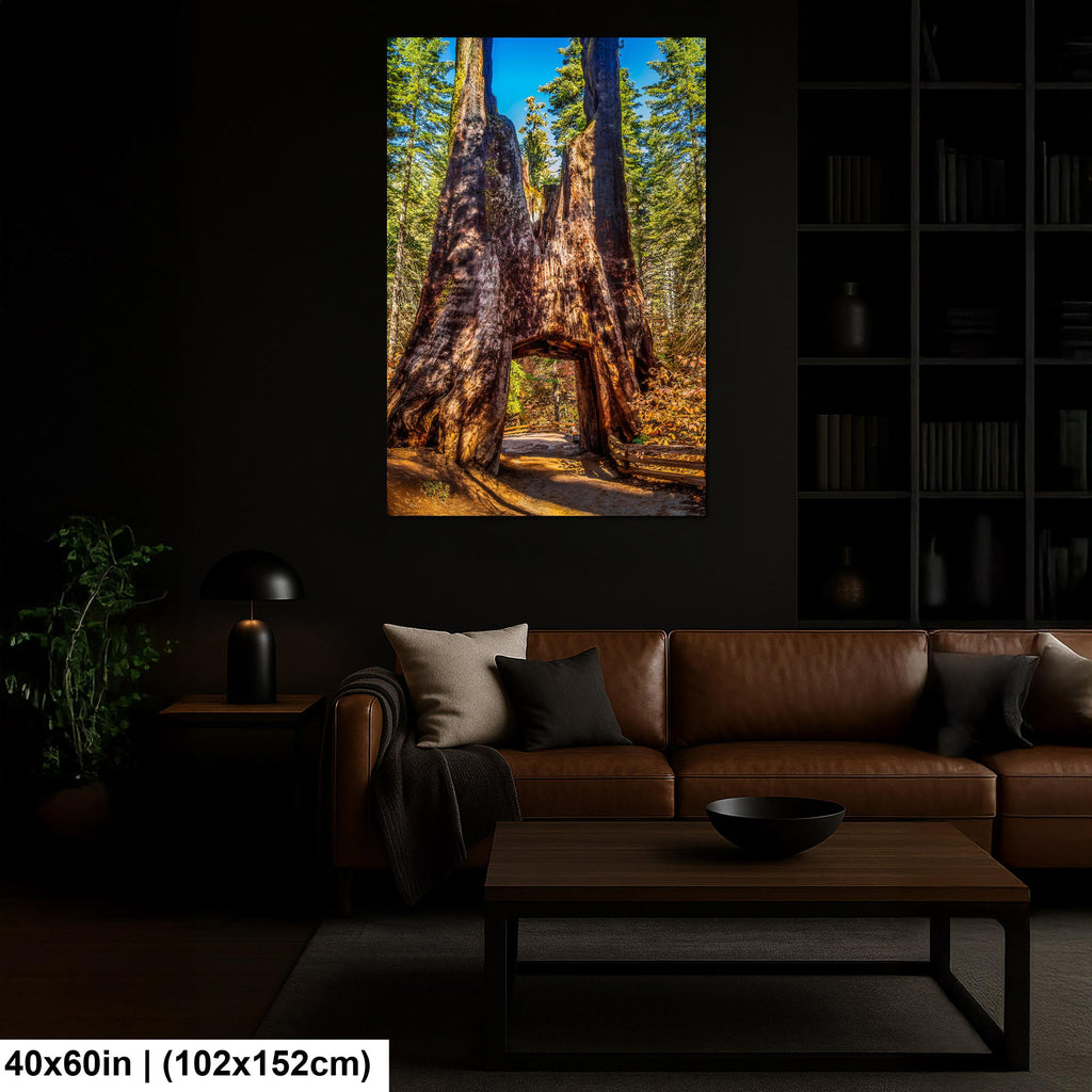 Giant Gateway: Tuolumne Grove Yosemite National Park Photography Wall Art