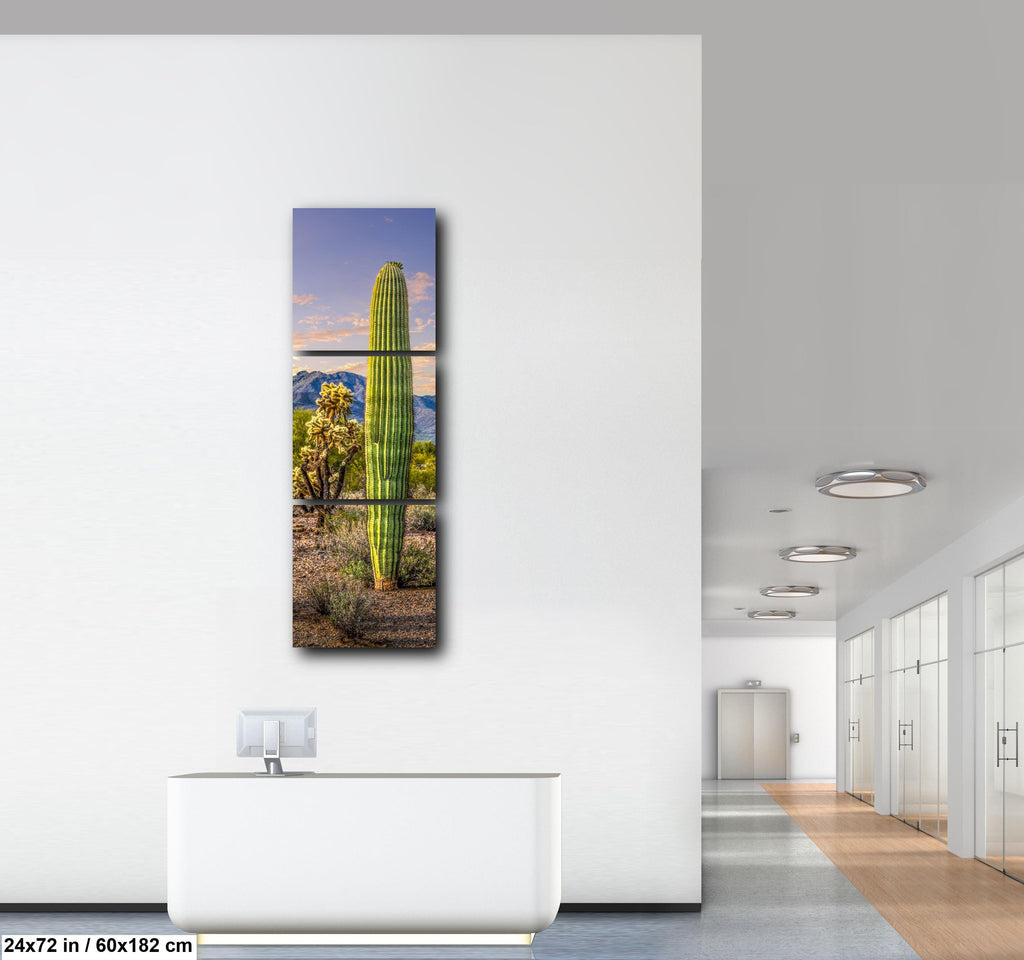 Golden Hour Saguaros and Cholla in Bloom Desert Photography Print, Tucson Arizona Southwest Wall Art Decor