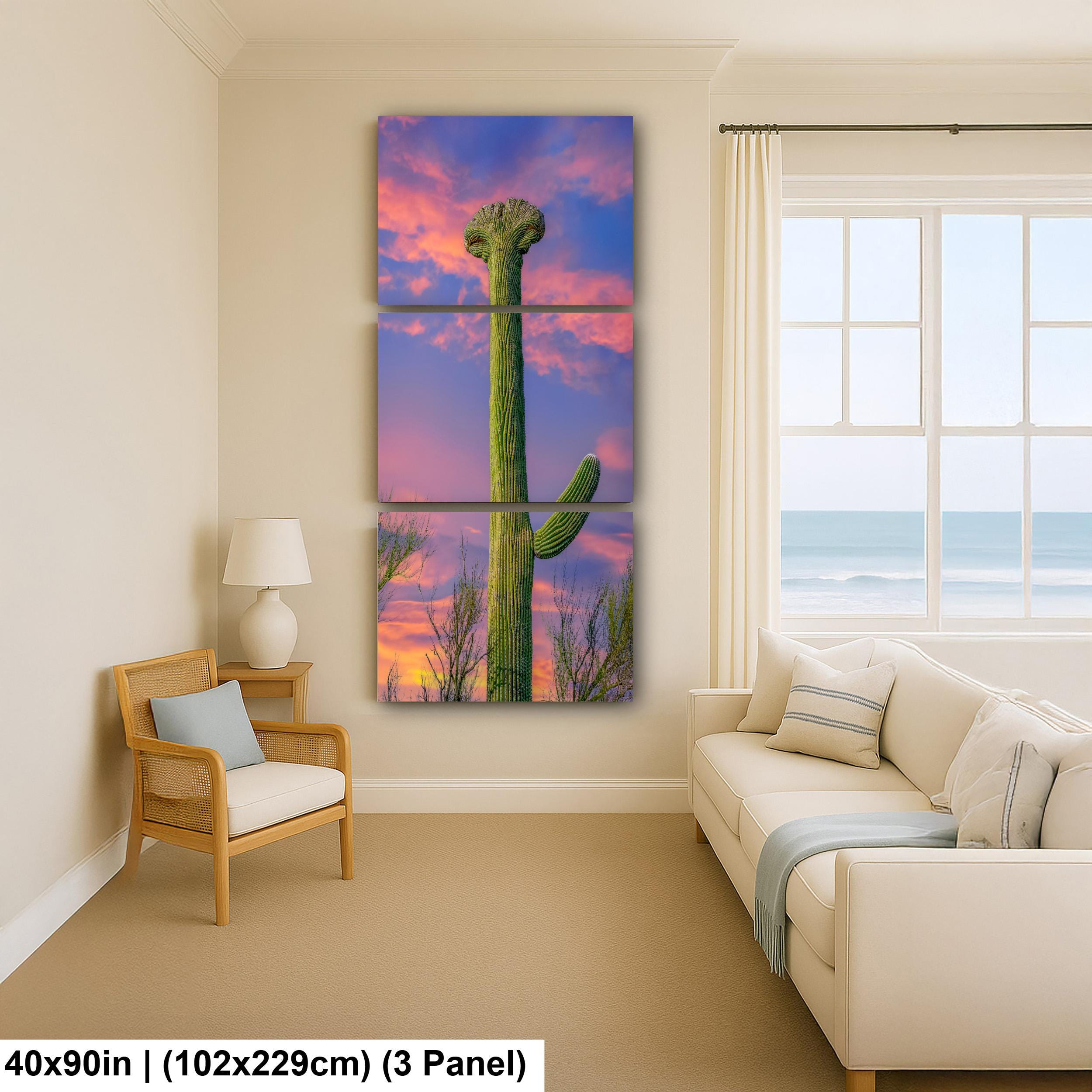 Crested Saguaro Cactus at Sunset - Saguaro National Park East Tucson Photography Print