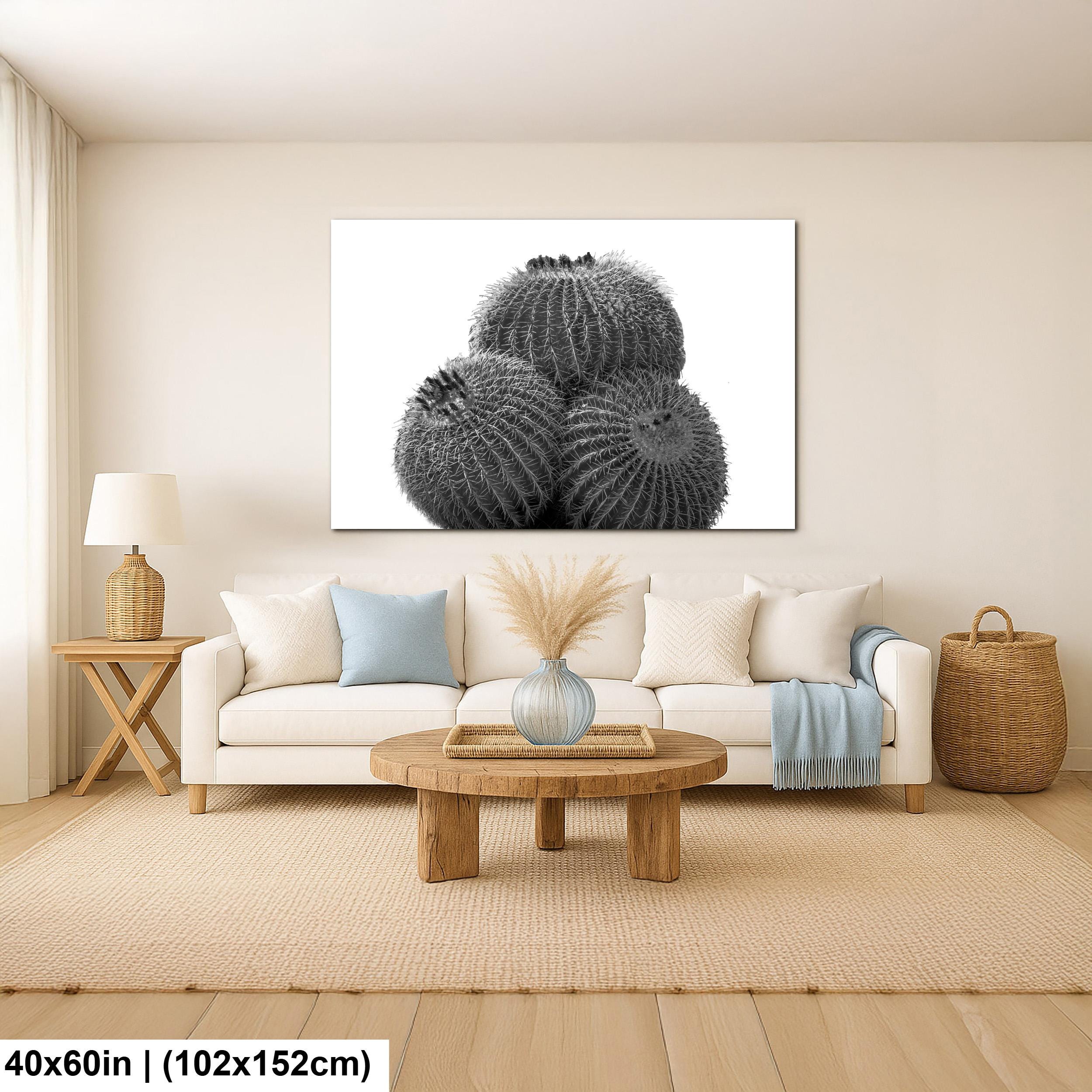 Living room with a white sofa, wooden coffee table, and a large wall art of cacti.